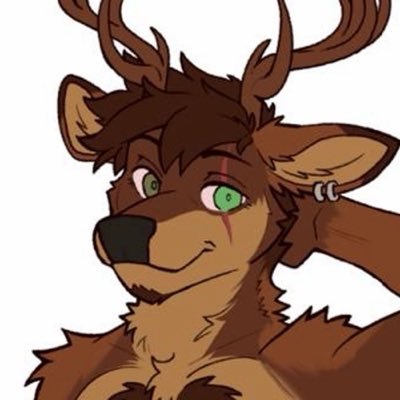 Safさんのプロフィール画像