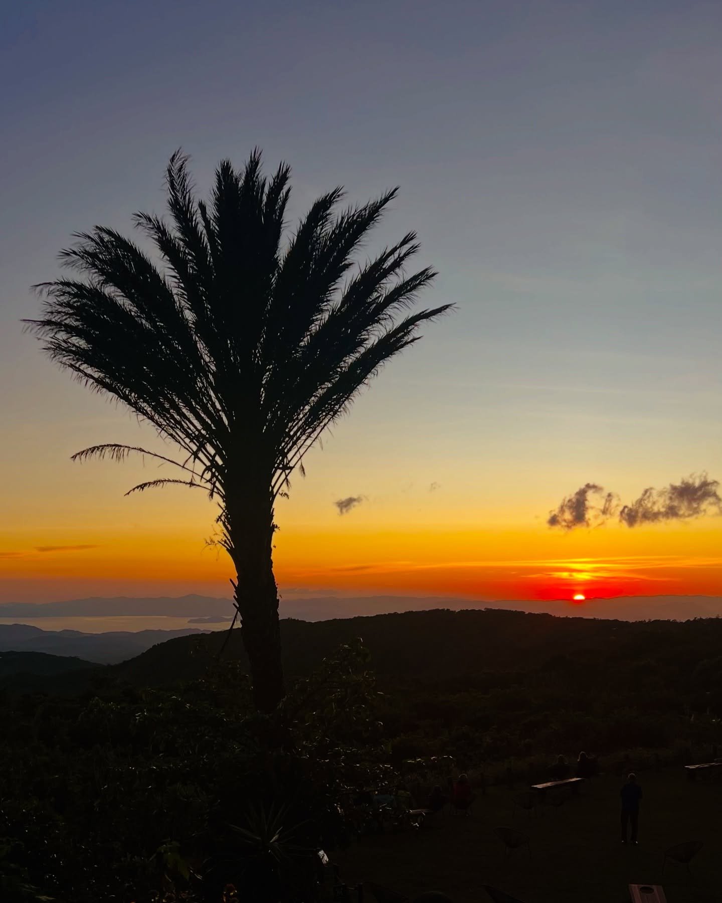 mayavair's profile picture. 