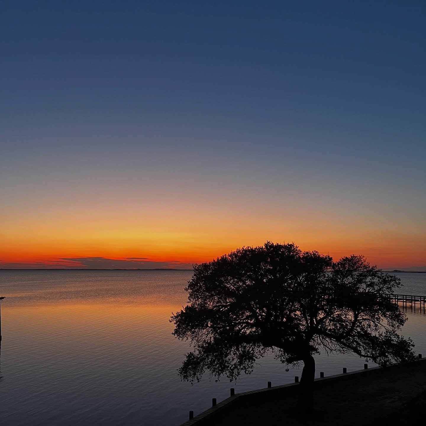 WorachartA's profile picture. 