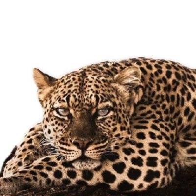 yrs_amb07's profile picture. nona🩶