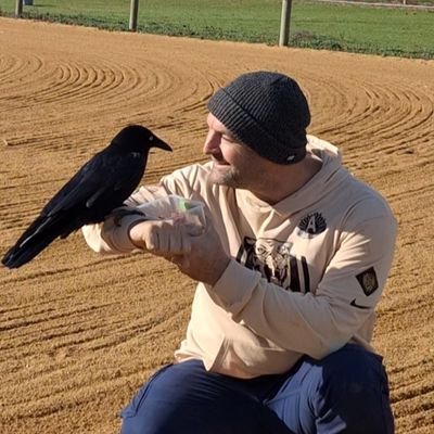 SaltsWyuna's profile picture. Wild Australian Ravens enjoying freedom with a fully belly.