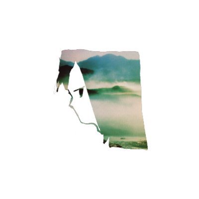 totalgoldboy's profile picture. Exquisite tension