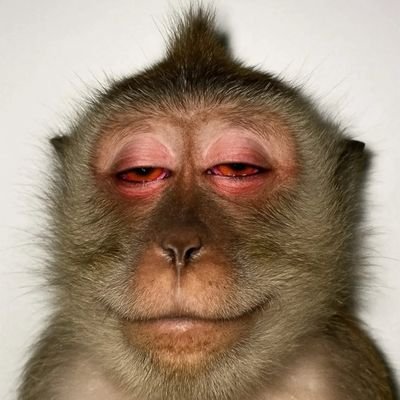 Darknetter_'s profile picture. 