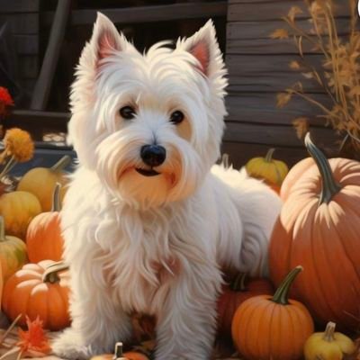 OhSoQuirky22's profile picture. Here to see what's happening in the world. I love History and dogs. I miss the 80s. It was a simpler time.