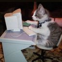 Akeisha Magayon - @AkeishaMag3241 - Twitter