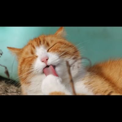 3lnour's profile picture.