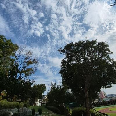 hawo0521's profile picture. 잡덕...(유튜버, 버튜버, 애니)
하늘 사진 찍기, 뜨개질을 좋아합니다.
-일상-