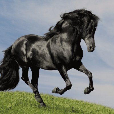 Eddyc_95's profile picture. DYOR