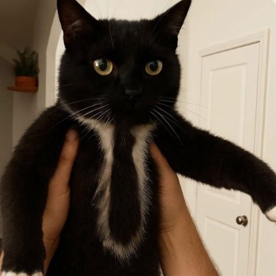 RayRed4699's profile picture. Flows over vibes. I pet risk and it purrs. Quantitative investor 📈 Degen spot trader ☢️