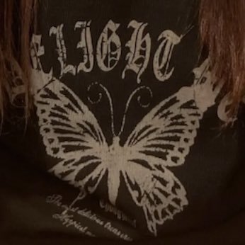 shihochanndayo3's profile picture.