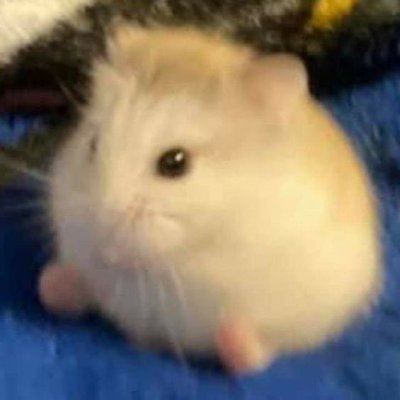 guestkp's profile picture.