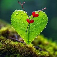 DENİZ🐞🌊♥️ (@zsemakeskin) 's Twitter Profile Photo