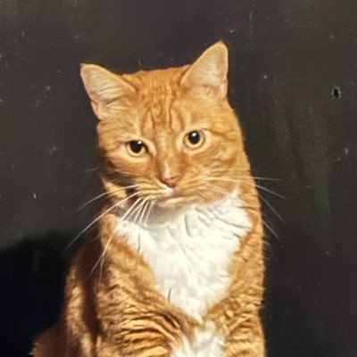 ASH022287's profile picture. 