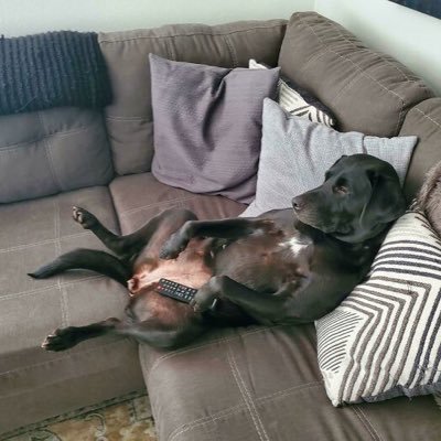 ARK4utica's profile picture. Success is walking from failure to failure. Head up. You may not see all the failures your idols go through, but you can bet there are a lot of them.