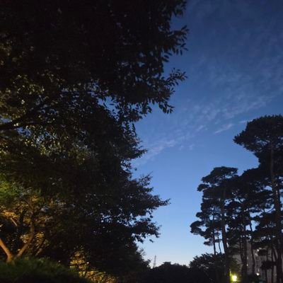 choeeunjeo78577's profile picture. 