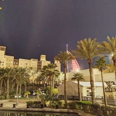 goghfeel's profile picture. 팔란티어
투자, 여행, 육아