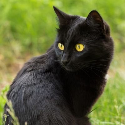 do_rA1O's profile picture.