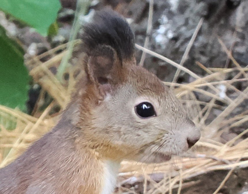 Bifocalairdog08's profile picture. 