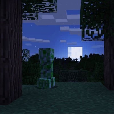 robenChwan's profile picture. bbChwan🐈‍⬛💮📸 #onepiece