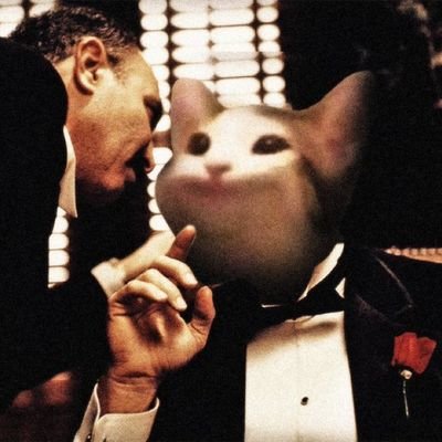 vitalikpopcat's profile picture. 