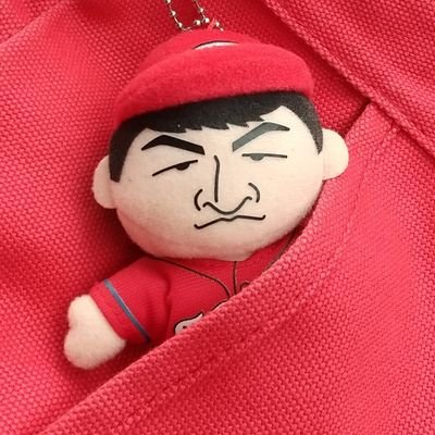 kasumi167's profile picture. 一時的に鍵かけることあります🔑広島市出身→広島県三次市在住/カープ🎏會澤翼/捕手好き/NPB審判リスペクト派⚾️/大相撲は行司さん箱推し🍲/高3高1の娘がいます(国立大志望/大受情報収集中)📝