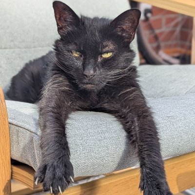 perfoptimizer's profile picture. 