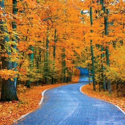 MidWestTheBest's profile picture. MIDWEST SLANGING