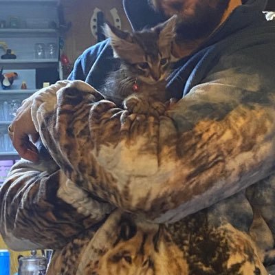debamustafa's profile picture. 