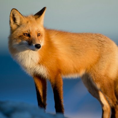 ken_k_0513's profile picture. 株歴２年　デイトレ2025.9.29からスタート

諸事情で12月まで仕事休みなので2ヶ月間予定がない日はトレードします