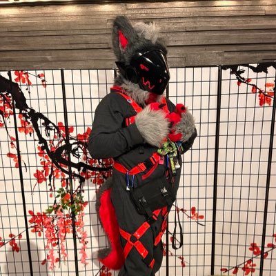 Proot_exe404's profile picture. |27|pan|❤️dm okay open engaged with @Wulfy_dog sweden|telegram *Theprototoaster*|car guy/Lewd|vorny/suit by@ArgetandLazuli/PAW huffer ❤️NSFW car guy