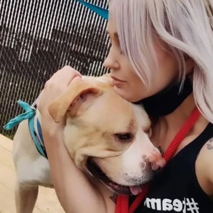 Alessiareloaded's profile picture. Requiescant in pieces✌🏻🇮🇹🇨🇭⚡⚡
Muttersprache teutonica.  Penso in tedesco, scrivo in in italiano. Bene Gesserit 
LIBENTER OBTRUNCO