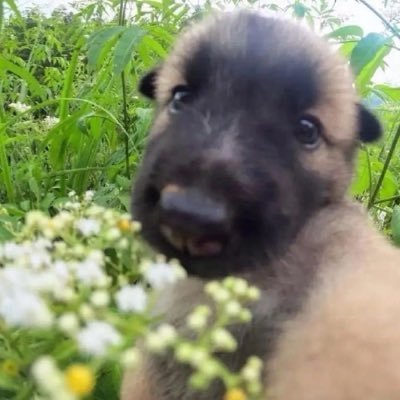 1836_1836's profile picture. 골반통신:우울감지가속모드
