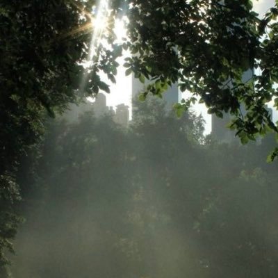 augustlinee's profile picture. 