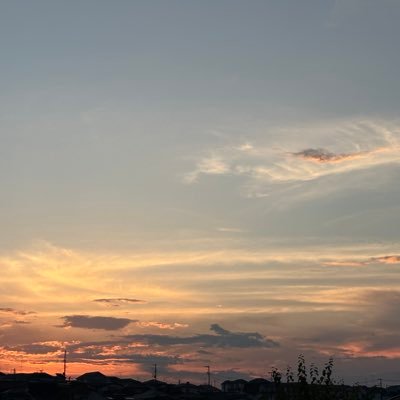 bvLStwnUAL27428's profile picture. 