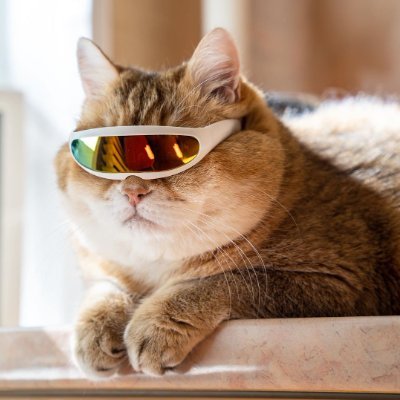 dasmikko's profile picture. SysAdmin / Frontend dev.

I like doing 3D print stuff too!