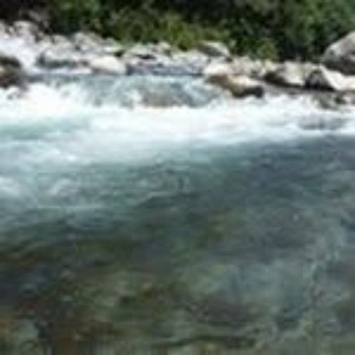 Qermoo9806385's profile picture. 