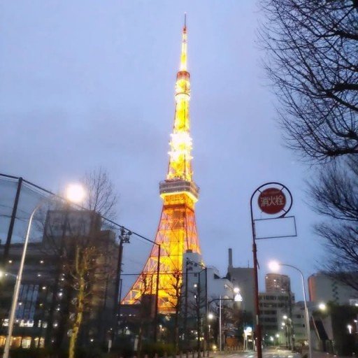 Kooarsal58631's profile picture. 