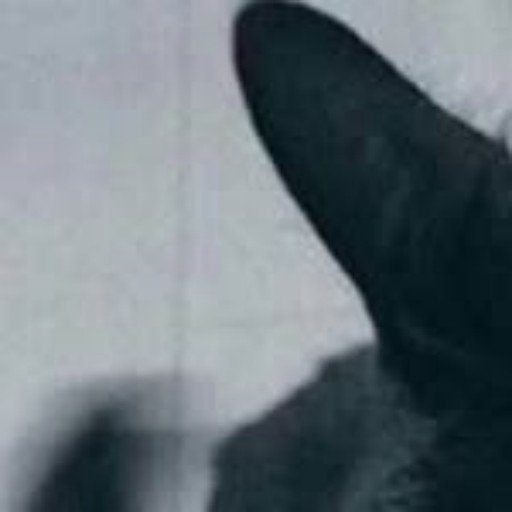 Buife48813's profile picture. 