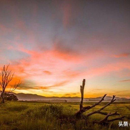 Eavuvic033251's profile picture. 