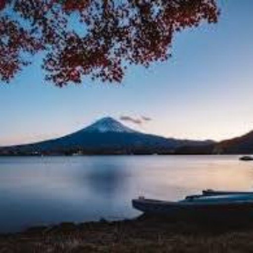 Lauqo123844's profile picture. 