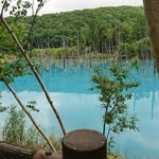 Maforj75894's profile picture. 