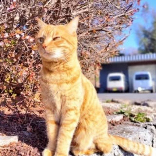 Eeqarku79744's profile picture. 