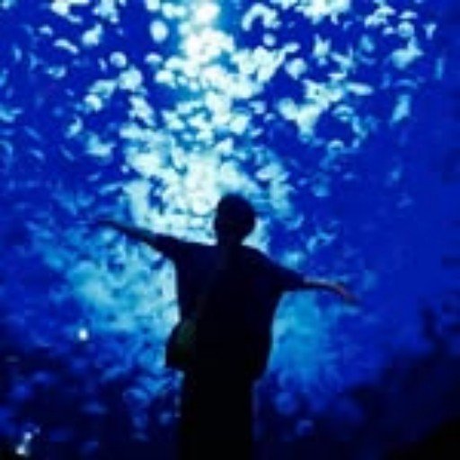 Ytrawvird51443's profile picture. 