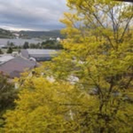 Malralw0336953's profile picture. 