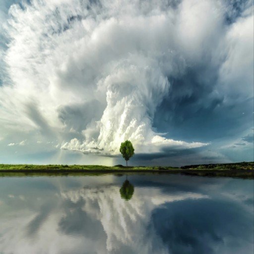 Alvlorvah592's profile picture. 