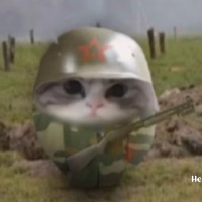 yajaskesprot's profile picture. isinya cuma yappingan doang