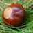 ajfetzner's profile image
