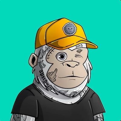 voluma15921's profile picture. 