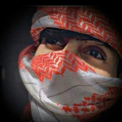 yaacipal44's profile picture. 