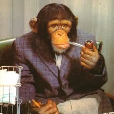 LeSinjFinance's profile picture. 